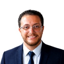 Ahmed Essam Mohamed