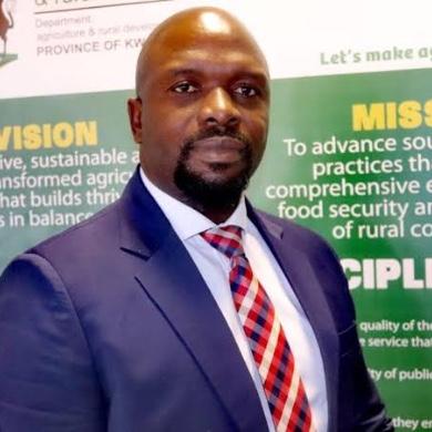 SIZA SIBANDE