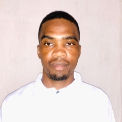 Vincent Mawarire