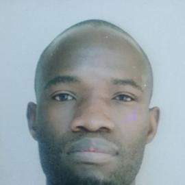 Wisdom Trevor Mkwananzi